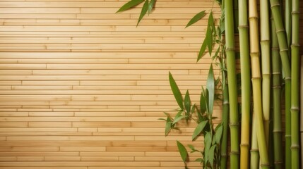 Green bamboo on bamboo wall background. Space for text