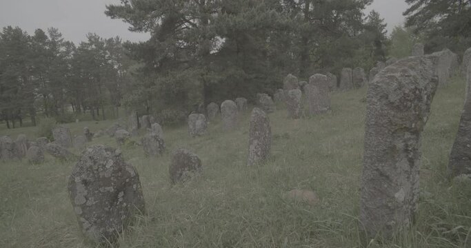 Old ancient Jewish cemetery in summer spring day. Druya, Belarus. green grass and many ancient stones. Headstone Headstones Tombstones jewish grave, clog2, clog, canon c70 c log 2.