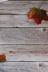 wooden background with autumn leaves