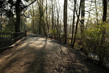 Fototapeta premium Parkweg