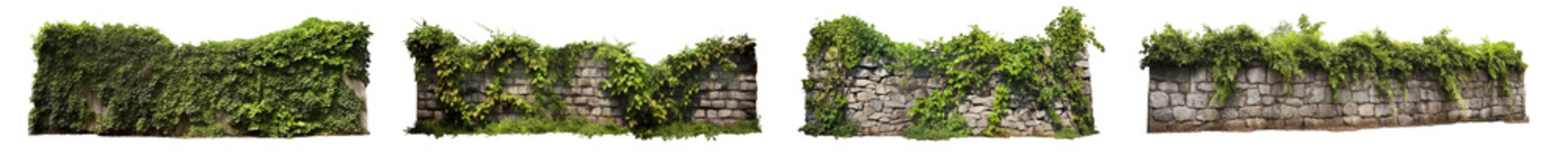 Set of aged garden stone wall fences with ivy plants , isolated on a transparent background. PNG, cutout, or clipping path. - obrazy, fototapety, plakaty