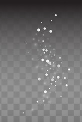 White Snowflake Vector Transparent Background.