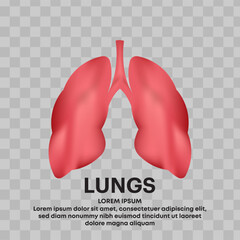 Human Lung medical vector icon. Realistic Vector logo lungs icon isolated on a transparent background. lung care vector design template - EPS 10
