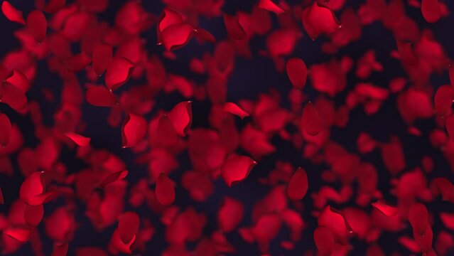 Valentine Petals LOOP TILE Background Swirl. This footage is loopable and tileable and can create an infinite seamless background texture.