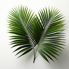 Obraz premium Palm leaves on a white background, Generative AI