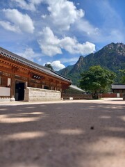 Fototapeta premium travel korea landscape fun tourist