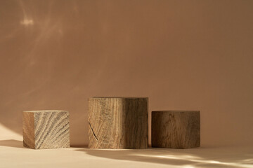 Podium for exhibitions and product presentations, material: stone, dried flowers. Beautiful beige...