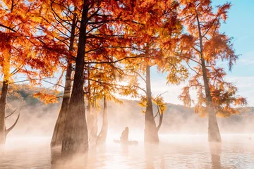 Fotobehang Woman relax on staand up paddle board at quiet lake with morning fog and fall Taxodium distichum trees © artifirsov