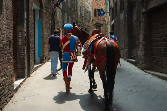 Vista de un caballo participante y su jinete en una calle de Siena el d&iacute;a de la carrera del Palio, Toscana, Italia.