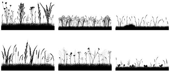 Grass with wild plants, black silhouette of meadow, set. Vector illustration.