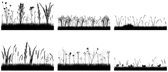 Fotobehang Grass with wild plants, black silhouette of meadow, set. Vector illustration. © nosyrevy