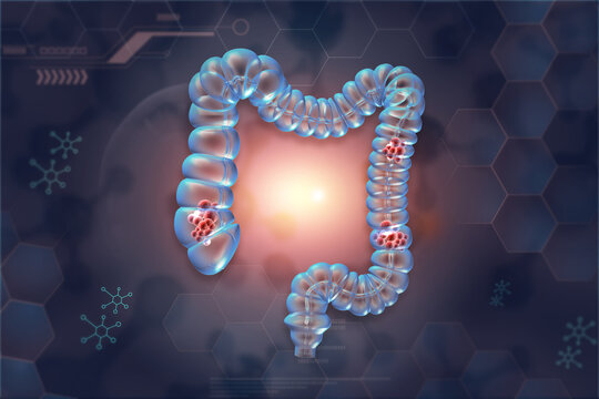 Human colon anatomy on scientific background. 3d illustration..
