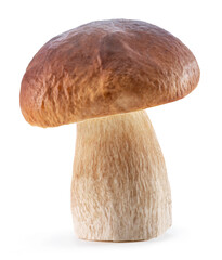 Porcini mushroom on white background. File contains clipping path.