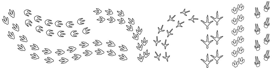 Dinosaur footprints icon vector set. Dinosaur tracks illustration sign collection. Animals footprints symbol. Animals tracks logo.