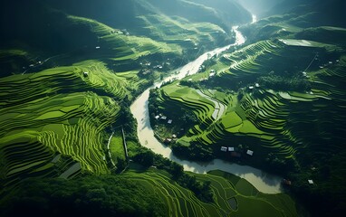 Terraced rice fields enter harvest season in China, aerial view