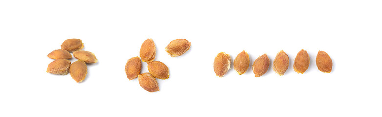 Plum Pits, Fruit Kernels Group, Plum Seeds Collection, Apricot Kernels, Plant Bones