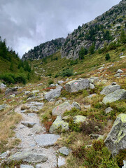 Sentier du TMB en Suisse lors de la descente vers Trient (depuis la fenêtre d'Arpette)