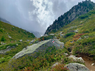 Chemin de randonnée qui mène à la fenêtre d'Arpette dans les Alpes suisses, variante du TMB