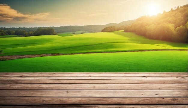 resting on a wooden ground with a wonderful nature view in the sunshine