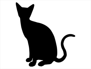 Siamese cat silhouette vector art