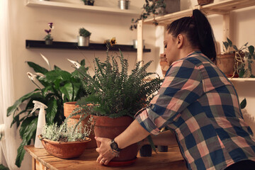 Woman repotting and taking care of houseplants indoors.