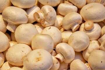 Assorted mushrooms