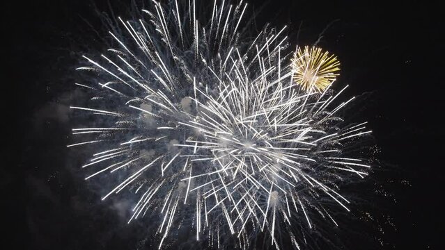 Fireworks Exploding Slow Motion Against Dark Night Sky