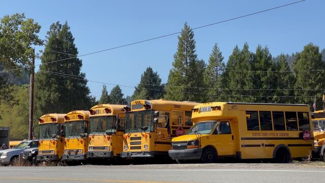 Large school buses in a row in Wolf Creek, Oregon, USA.