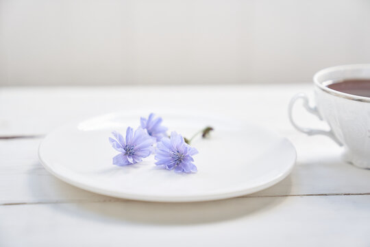 Cichorium flowers in a saucer, on a light background. Part of a mug with a drink. Flowers of ordinary chicory or cichorium dioecious. With space to copy. High quality photo