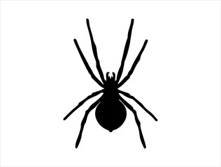 Spider silhouette vector art white background
