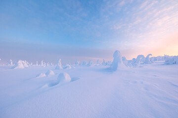 winter landscape with snow