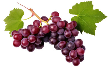Fototapeta premium Fresh Grapes Isolated on transparent Background, Vibrant and Juicy Grape Cluster 