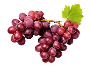 Fototapeta premium Fresh Grapes Isolated on transparent Background, Vibrant and Juicy Grape Cluster 