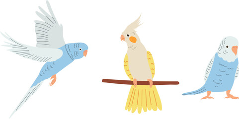set of parrot in doodle style on a white background, vector