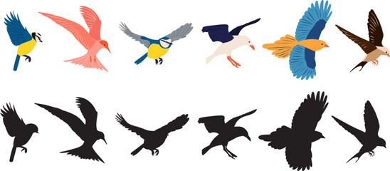 flying birds of different breeds set, on a white background, vector
