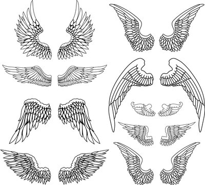 Set of  illustration of a pair of wings in black and white,  done in a tattoo-style. Angel wings. illustration of bird wings.