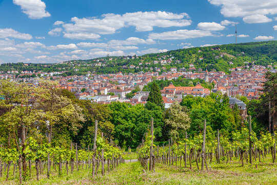 View from Karlshohe viewing point to Degerloch and tv tower, Stuttgart, Baden-Wurttemberg