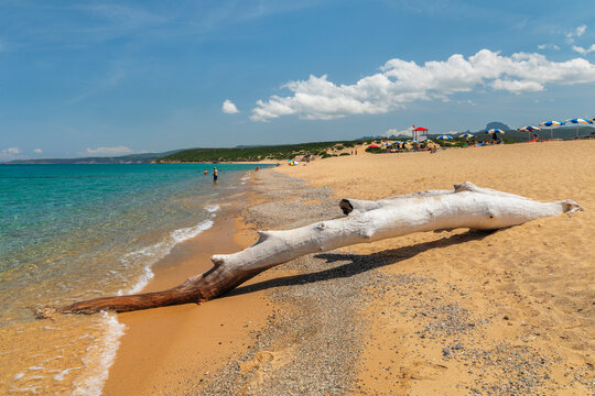 Driftwood, Scivu beach, Arbus, Sud Sardegna district, Sardinia, Italy, Mediterranean