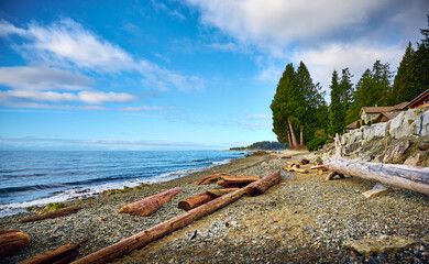 Fototapeta na wymiar Driftwood at Henderson Beach. Roberts Creek, Sunshine Coast, British Columbia, Canada. Beautiful Pacific Coast of Canada