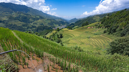 Fototapeta na wymiar Irrigation of a paddy field, landscape with green and yellow rice terraced fields and blue cloudy sky near Mu Cang Chai, Yen Bai province, North-Vietnam 