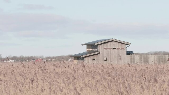Bird Hide Building for Birdwatching and Reed Moving in The Wind, Wide Shot