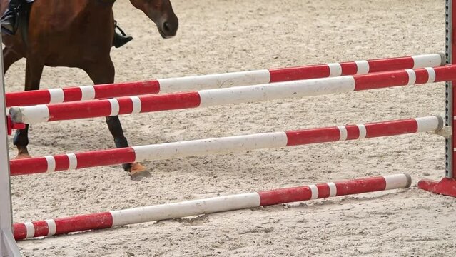 Bridleless jumping competition: rider and horse in indoor sandy hall.