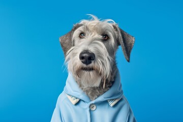 Group portrait photography of a funny irish wolfhound dog wearing a sailor suit against a sky-blue background. With generative AI technology