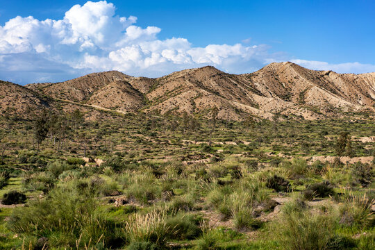 Tabernas desert landscape on a sunny day, Almeria, Andalusia