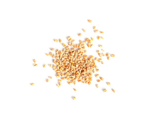 Wheat Grains, Barley Pile, Dry Cereal Seeds, Wheat Grains Heap on White