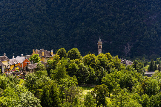 The township of Varzo viewed from a distance wth roof tops and spire above the alpine forest, Varzo, Piemonte (Piedmont), Northern Italy