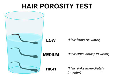 Natural hair porosity float test infographics - obrazy, fototapety, plakaty