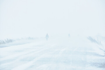A snowstorm. People walk down the street during a snowstorm. Heavy snowfall. against the background...