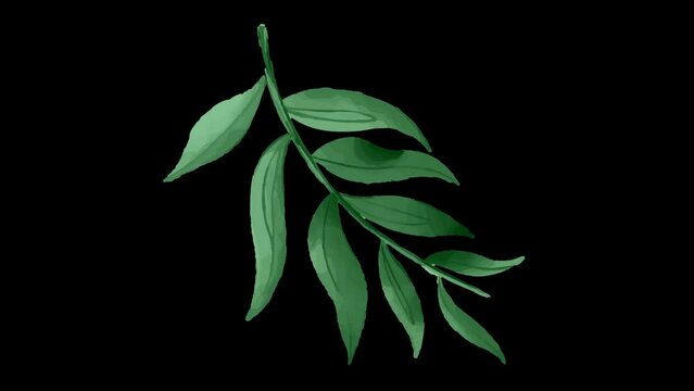 Growing leaf's animation on transparent background for wedding projects and more. Leaf animation 09