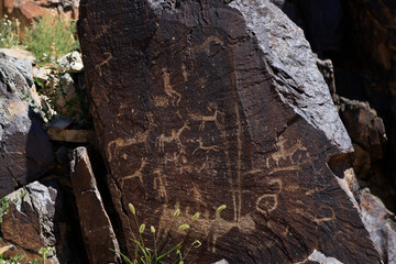 Gobi petroglyphs, Bichigtiin Am site, Mongolia
